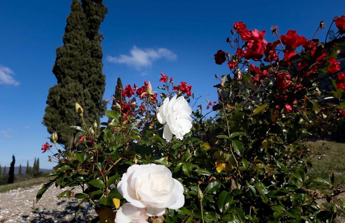 Agriturismo Il Ghiaccio Suvereto Kültér fotó